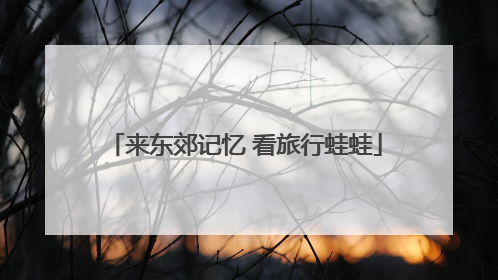 来东郊记忆 看旅行蛙蛙