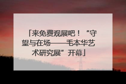 来免费观展吧！“守望与在场——毛本华艺术研究展”开幕