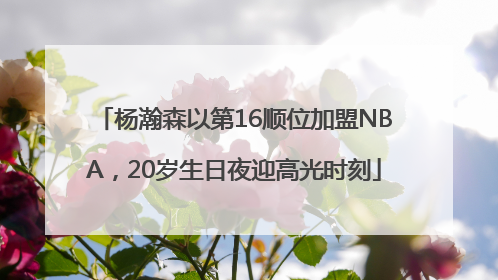 杨瀚森以第16顺位加盟NBA，20岁生日夜迎高光时刻