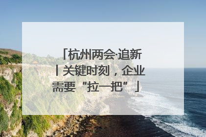 杭州两会·追新丨关键时刻，企业需要“拉一把”