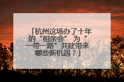 杭州这场办了十年的“相亲会” 为“一带一路”共建带来哪些新机遇？