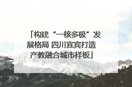 构建“一核多极”发展格局 四川宜宾打造产教融合城市样板