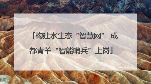 构建水生态“智慧网” 成都青羊“智能哨兵”上岗
