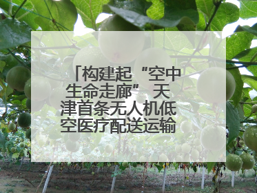 构建起“空中生命走廊” 天津首条无人机低空医疗配送运输专线试飞成功