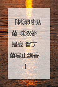 林深时见菌 味浓处是宴 晋宁菌宴正飘香