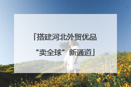 搭建河北外贸优品“卖全球”新通道