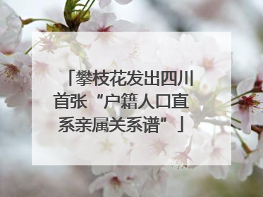 攀枝花发出四川首张“户籍人口直系亲属关系谱”