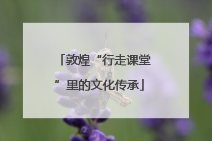 敦煌“行走课堂”里的文化传承