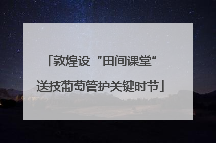 敦煌设“田间课堂” 送技葡萄管护关键时节