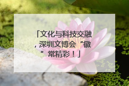 文化与科技交融，深圳文博会“徽”常精彩！