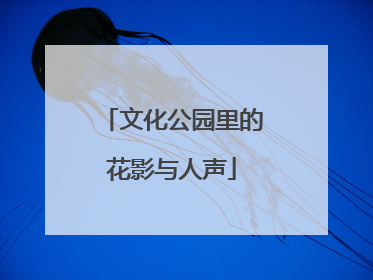 文化公园里的花影与人声