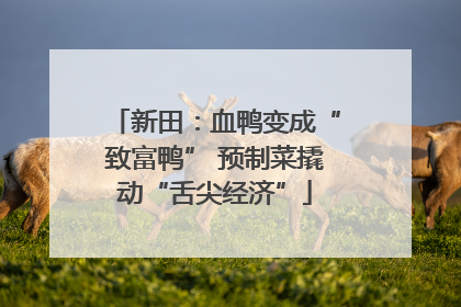 新田：血鸭变成“致富鸭” 预制菜撬动“舌尖经济”
