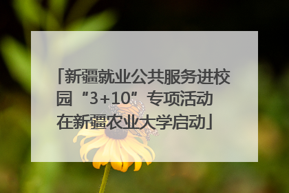新疆就业公共服务进校园“3+10”专项活动在新疆农业大学启动