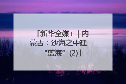 新华全媒+｜内蒙古：沙海之中建“蓝海”(2)