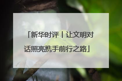 新华时评丨让文明对话照亮携手前行之路