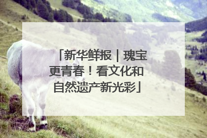 新华鲜报｜瑰宝更青春！看文化和自然遗产新光彩
