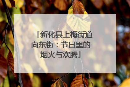 新化县上梅街道向东街：节日里的烟火与欢腾