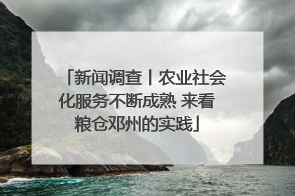新闻调查丨农业社会化服务不断成熟 来看粮仓邓州的实践