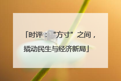 时评：“方寸”之间，撬动民生与经济新局