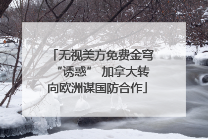 无视美方免费金穹“诱惑” 加拿大转向欧洲谋国防合作