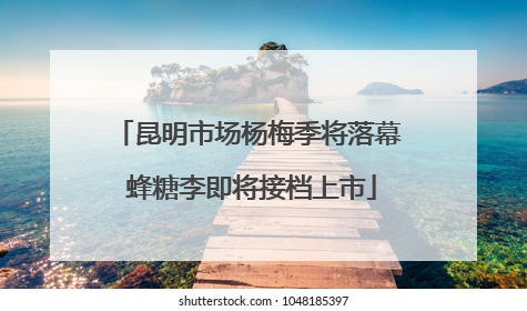 昆明市场杨梅季将落幕 蜂糖李即将接档上市