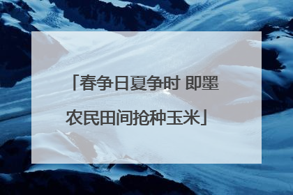 春争日夏争时 即墨农民田间抢种玉米