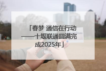 春梦 通信在行动——十堰联通圆满完成2025年