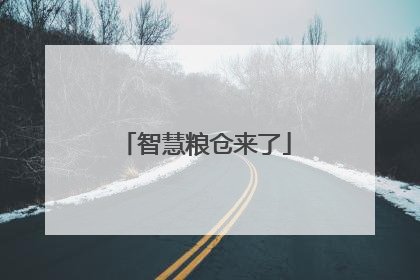 智慧粮仓来了