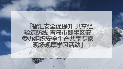 智汇安全促提升 共享经验筑防线 青岛市即墨区安委办组织安全生产共享专家现场观摩学习活动