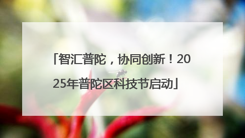 智汇普陀，协同创新！2025年普陀区科技节启动