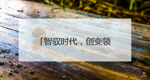 智驭时代，创变领航！德力西电气首席品牌官王策荣膺虎啸奖年度品牌人物