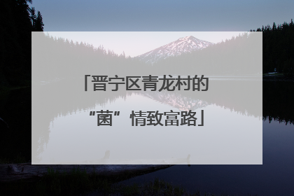 晋宁区青龙村的“菌”情致富路