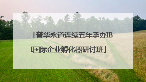 普华永道连续五年承办IBI国际企业孵化器研讨班