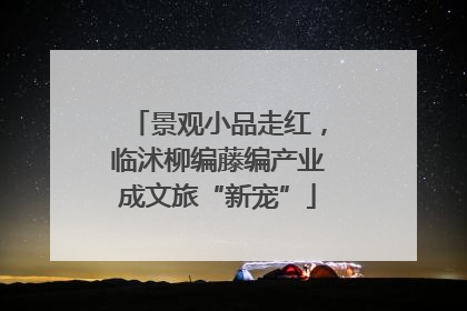 景观小品走红，临沭柳编藤编产业成文旅“新宠”