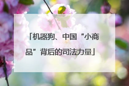 机器狗、中国“小商品”背后的司法力量
