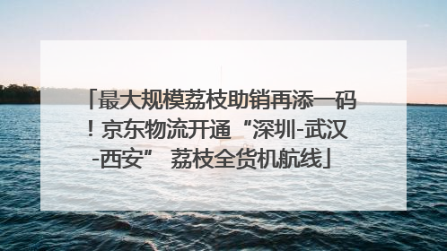 最大规模荔枝助销再添一码！京东物流开通“深圳-武汉-西安” 荔枝全货机航线