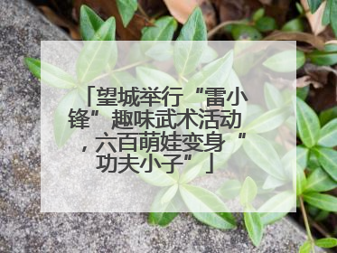 望城举行“雷小锋”趣味武术活动，六百萌娃变身“功夫小子”