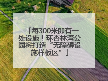 每300米即有一处设施！环杏林湾公园将打造“无障碍设施样板区”