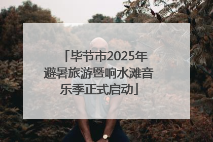 毕节市2025年避暑旅游暨响水滩音乐季正式启动