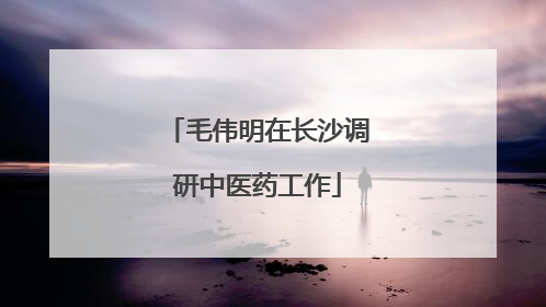 毛伟明在长沙调研中医药工作
