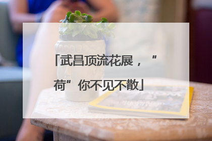 武昌顶流花展，“荷”你不见不散