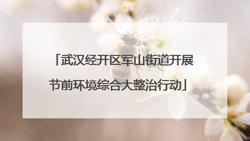 武汉经开区军山街道开展节前环境综合大整治行动