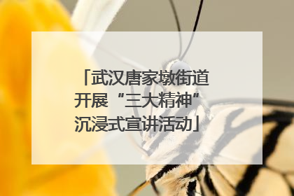 武汉唐家墩街道开展“三大精神”沉浸式宣讲活动