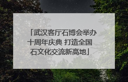 武汉客厅石博会举办十周年庆典 打造全国石文化交流新高地