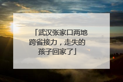 武汉张家口两地跨省接力，走失的孩子回家了