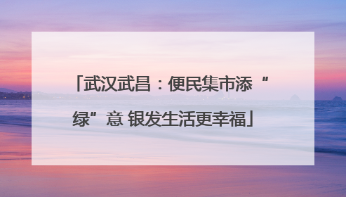 武汉武昌：便民集市添“绿”意 银发生活更幸福