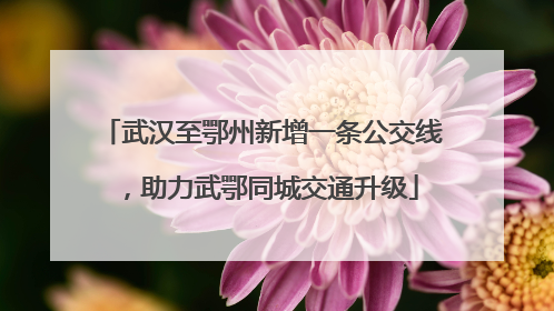 武汉至鄂州新增一条公交线，助力武鄂同城交通升级