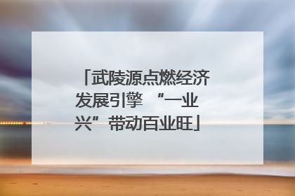 武陵源点燃经济发展引擎 “一业兴”带动百业旺