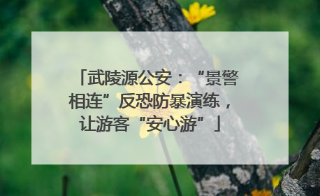 武陵源公安：“景警相连”反恐防暴演练，让游客“安心游”
