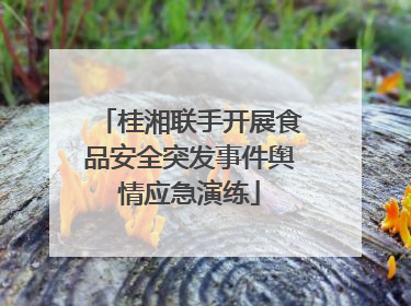 桂湘联手开展食品安全突发事件舆情应急演练